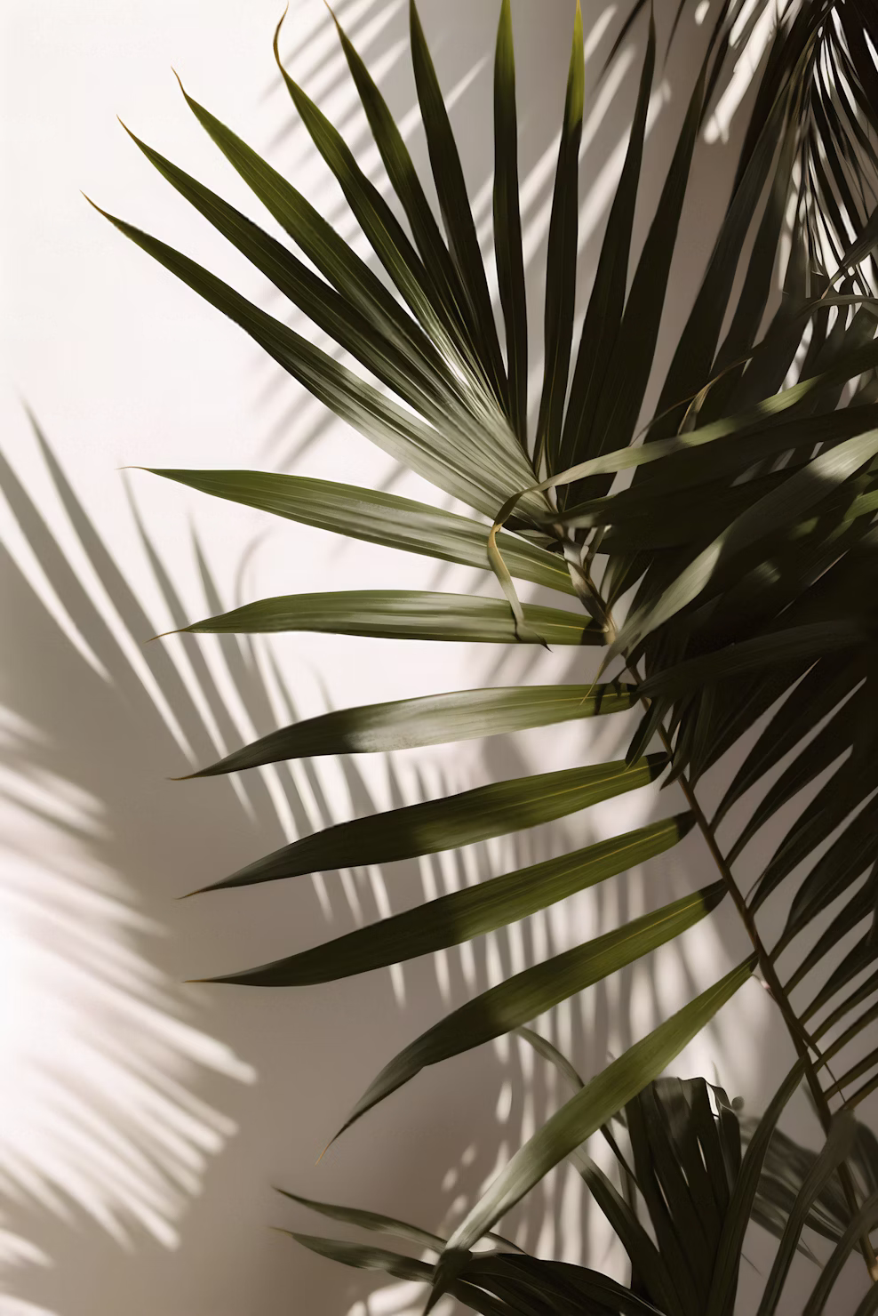 Green plant symbolizing growth and wellness